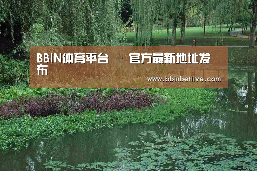 案例展示一
