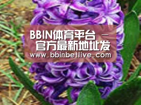 产品名称八