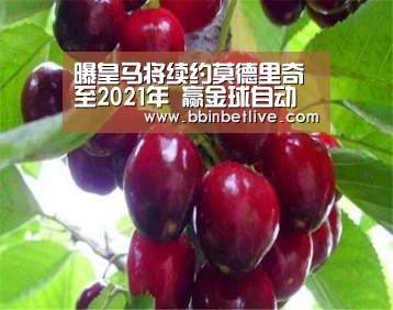 BBIN棋牌，BBIN电子，BBIN视讯，BBIN登录