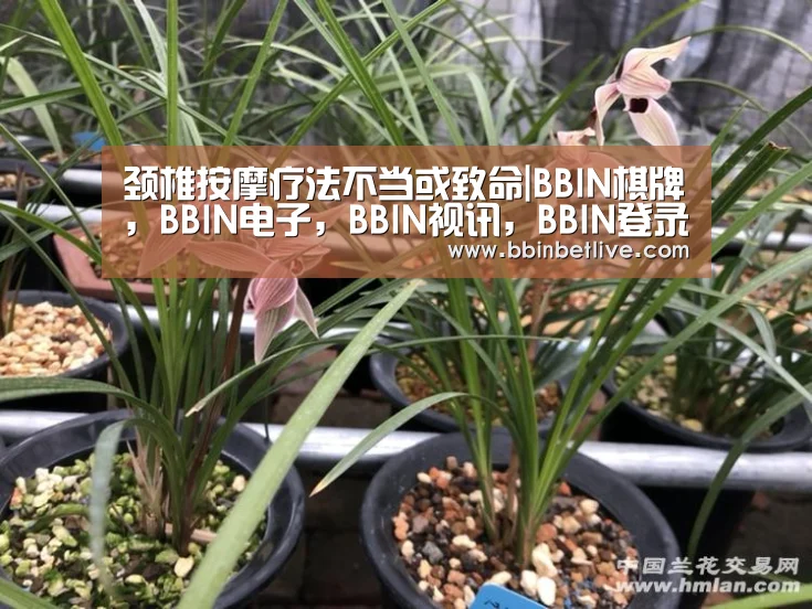 BBIN棋牌，BBIN电子，BBIN视讯，BBIN登录