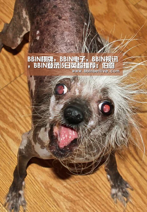 BBIN棋牌，BBIN电子，BBIN视讯，BBIN登录