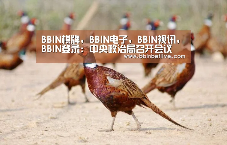 BBIN棋牌,BBIN电子,BBIN视讯,BBIN登录:中央政治局召开会议 研究当前经济形势(图2) BBIN棋牌,BBIN电子,BBIN视讯,BBIN登录